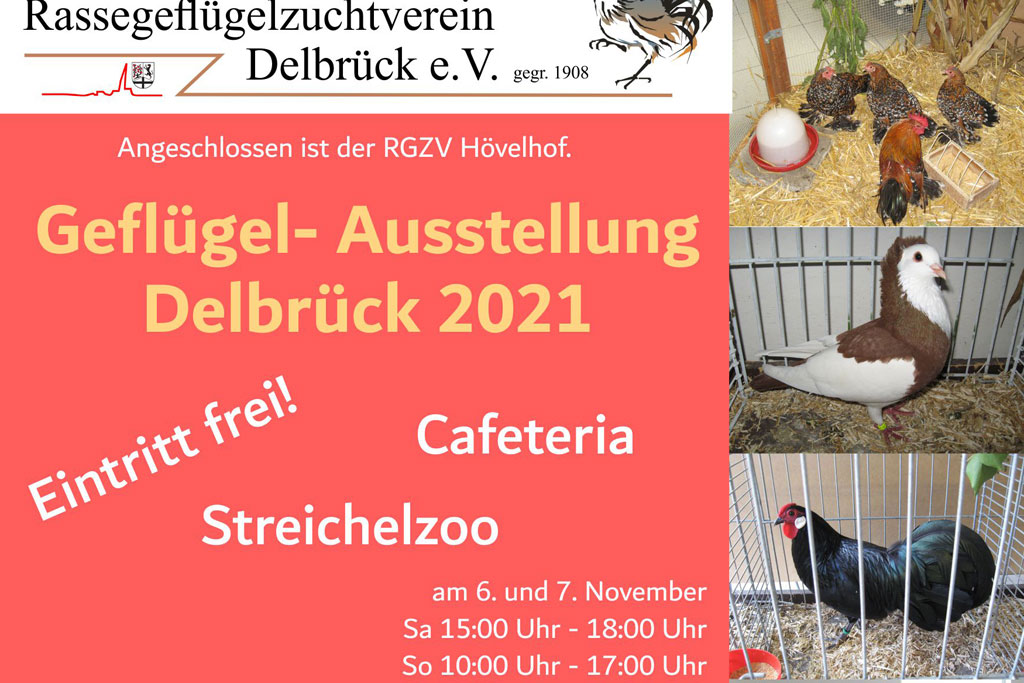 Rassegeflügel-Schau in Delbrück am 6. Und 7. November